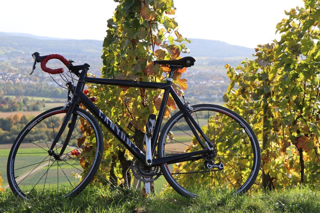 Schwarzes Canyon Fahrrad mit rotem Lenker, abgestellt im Weinberg mit Blick ins Tal bei Koblenz.